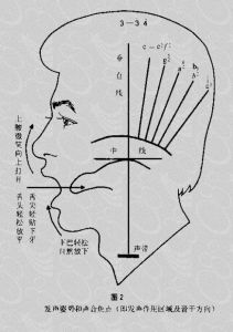 什么叫咽音唱法 咽音唱法视频