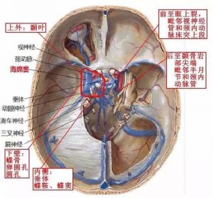 蝶窦共鸣的女歌手 蝶窦共鸣的感觉