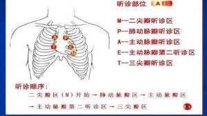 胸腔共鸣的方法技巧 伪音胸腔共鸣的训练方法