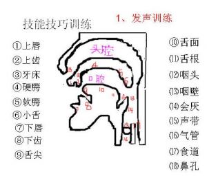 女生如何练习口腔共鸣怎么练 口腔共鸣简单方法