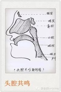 说话时怎样做到用口腔共鸣 口腔共鸣教学