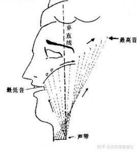 林教授关于咽音 增林教授的作品