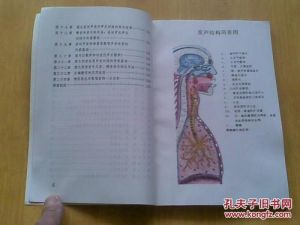 卡鲁索的发声方法 学唱歌技巧和发声方法