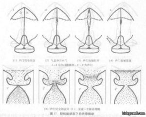 为什么用假声 什么时候用假声