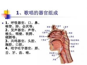 唱歌发声的正确方法 唱歌发声位置