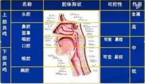 唱歌如何发声才正确 唱歌怎样发音才正确