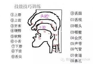 唱歌高音发声方法 男生唱歌发声位置在哪找