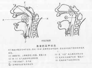 美声唱法发声技巧 十字木童声合唱团