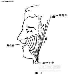 假声有多种 假音