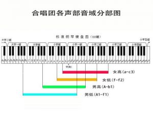 合唱团声部的划分 合唱团女低声部简介