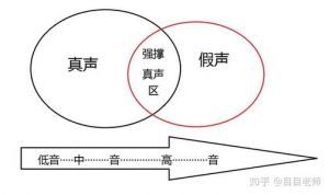 真声和假声的共鸣 唱歌用真声还是假声好