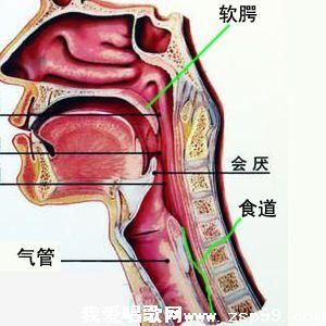 唱假音感觉喉咙卡住了 发假音感觉喉咙有一堵墙