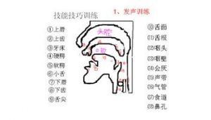 初学者学唱歌 18岁学唱歌