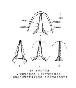 如何发假声 如何伪公子音