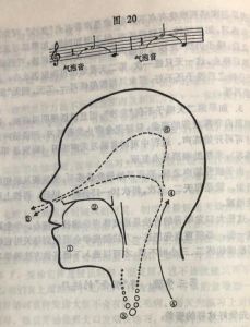 流行唱法咽音和传统咽音 练习咽音对流行唱法有效吗