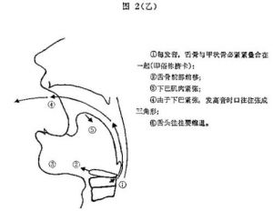 咽音和混声什么区别 蒲悦中国好声音