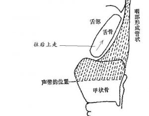 林俊卿哼咽音是错误的 咽音和混声