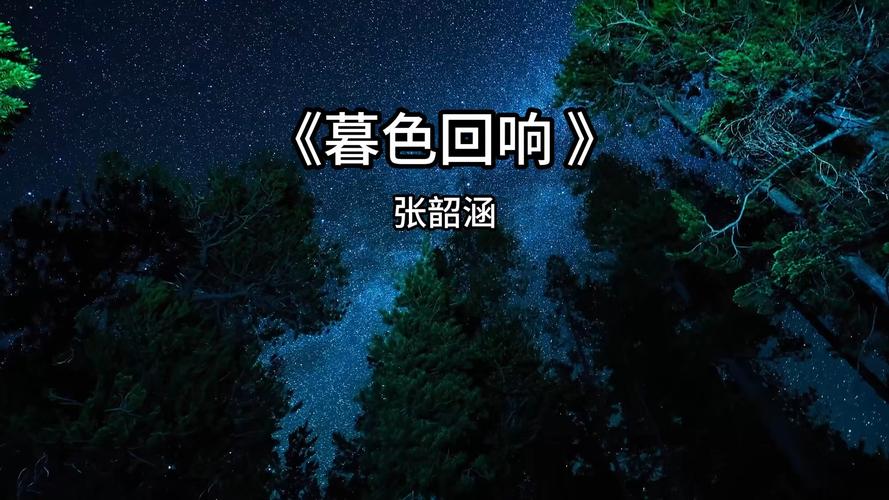 暮色回响：歌曲背后的深刻情感与信息