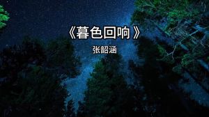 暮色回响：歌曲背后的深刻情感与信息