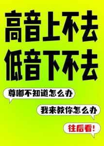 解决高音上不去低音下不来问题的方法