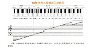 低音与高音哪个更具挑战？揭秘各自的难点与技巧需求