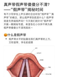 告别假声，找回自然歌声：揭秘与解决发声难题