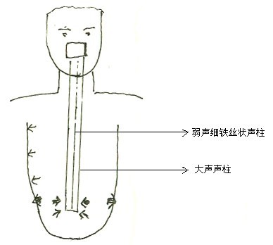 声带嗓音训练秘诀：科学方法与保健要点