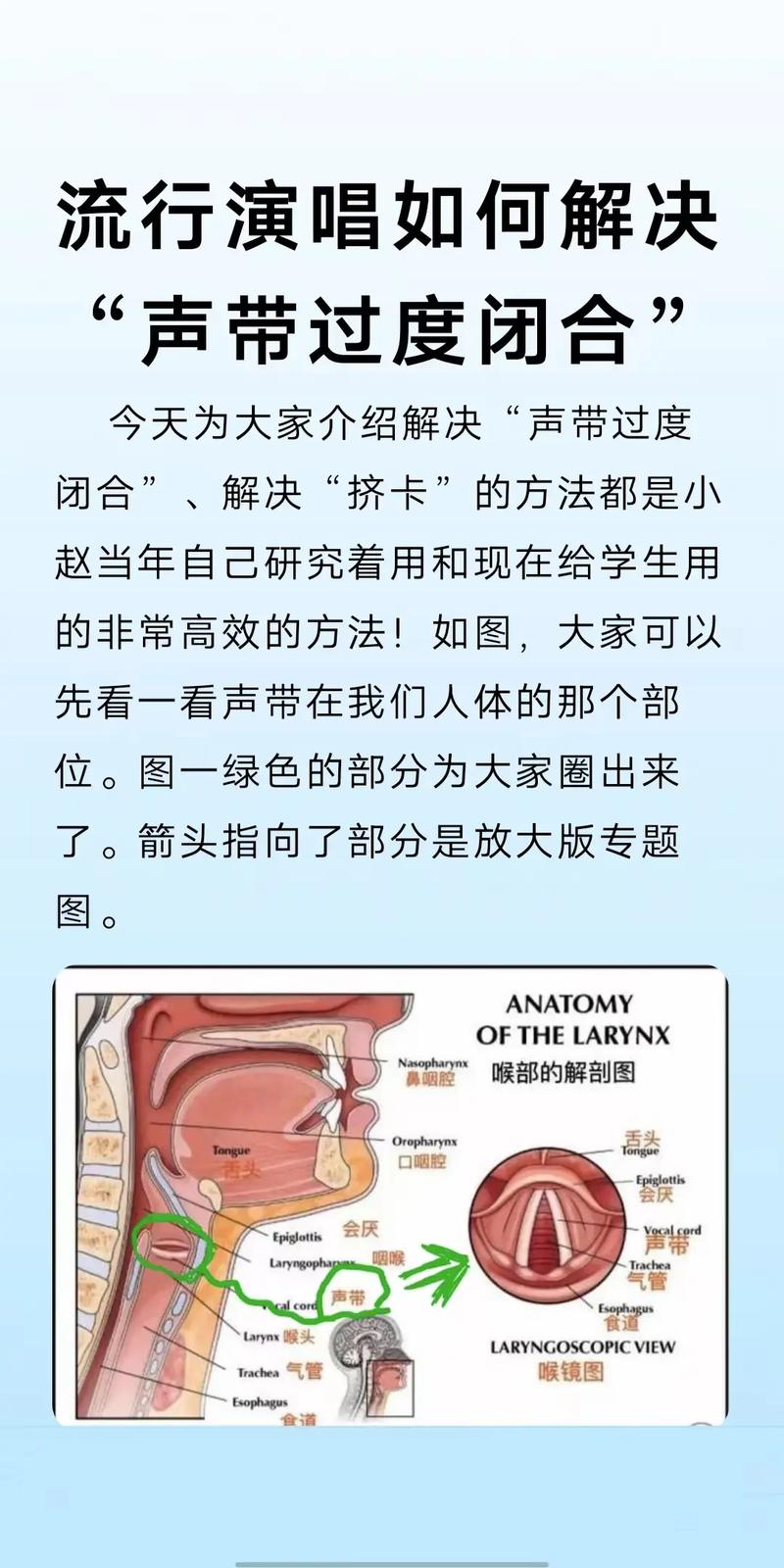 掌握声带闭合技巧，提升唱歌质感与穿透力