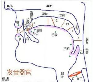 歌唱者嗓子受损恢复攻略：原因方法与预防要点