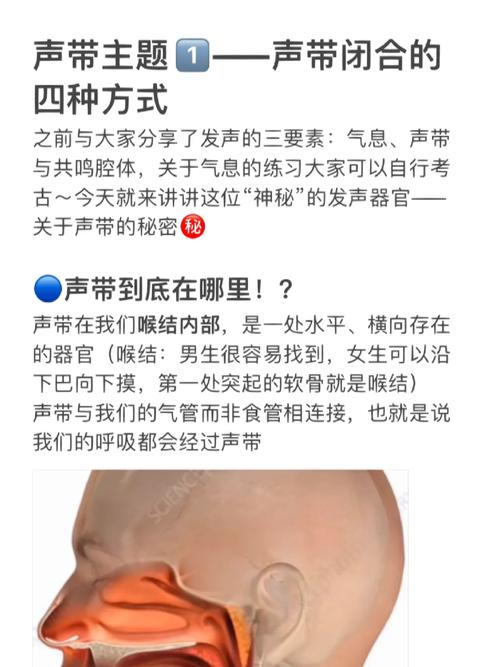 掌握高音技巧：科学训练与声带保护要点