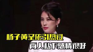 杨子黄圣依深夜视频引热议：婚姻危机还是关系反思？