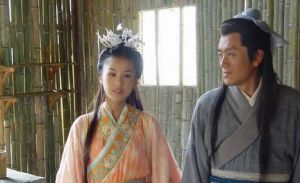 探讨现代爱情模式：杨子黄圣依婚姻与《素食者》夫妻关系解析