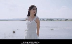 《再见爱人》黄圣依杨子婚姻争议：不离婚引热议，网友质疑炒作