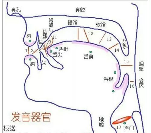 《唱歌气息控制入门指南，初学者必看！》