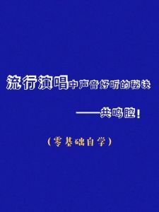 美声发音奥秘：探索声音共鸣的艺术