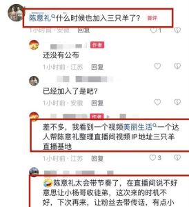 三只羊团队传闻澄清，陈意礼与嘴哥账号区别引热议