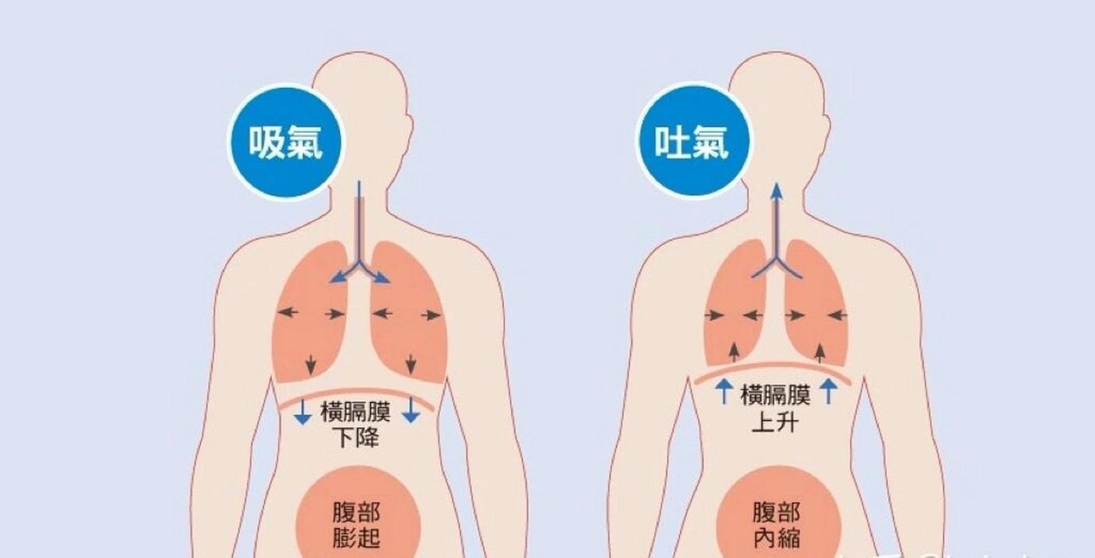 老年人气息训练法：唱歌呼吸技巧提升