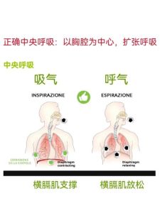 掌握呼吸艺术：气息训练方法与技巧全解析