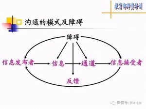 麦麦人际关系问题解析：沟通障碍与情感困扰