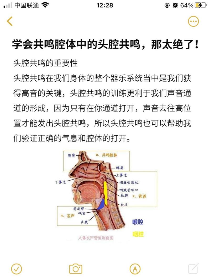 掌握头腔共鸣技巧，提升唱歌魅力