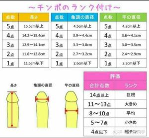 揭秘：男性生理尺寸真相及影响因素