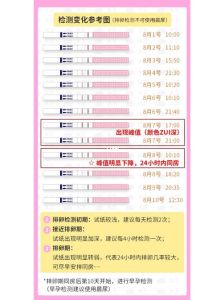 排卵试纸强阳转弱阳：排卵迹象解析