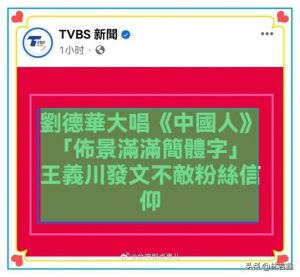 刘德华台湾演唱会唱《中国人》引争议，两岸统一心声引发思考