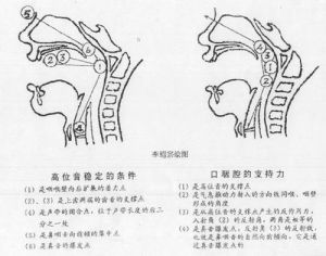 初学者美声入门指南：基础技巧与练习方法