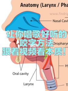 美声唱法咬字位置全解析