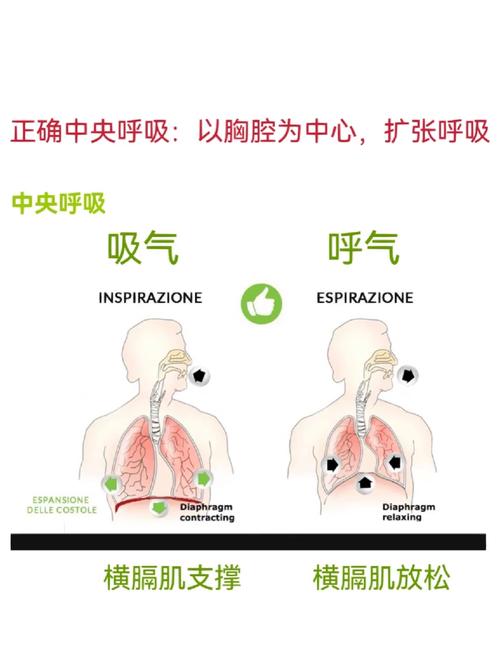 美声高音靠前技巧：呼吸共鸣与放松之道