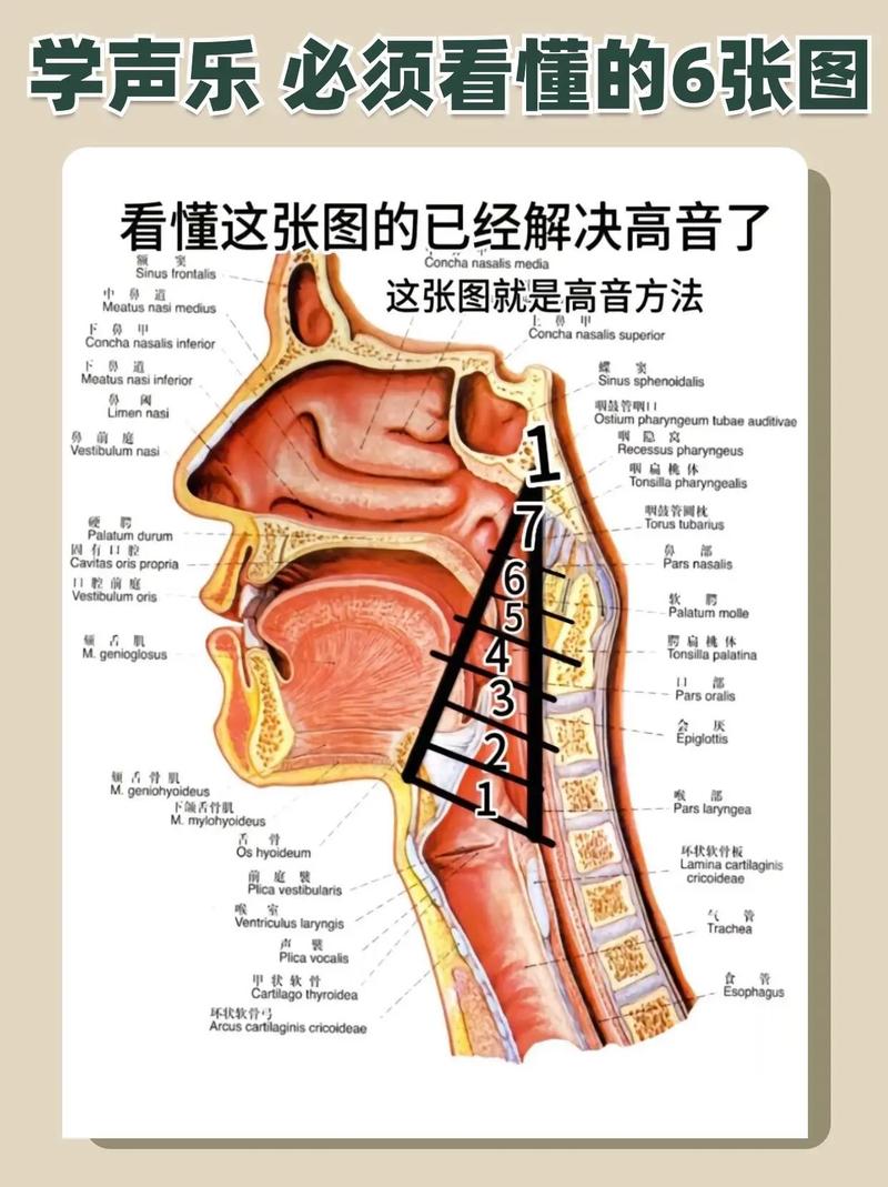 声乐技巧：轻松掌握打开喉咙的秘诀