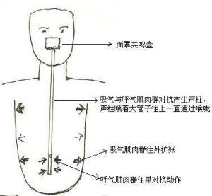 声乐秘籍：掌握气息发声技巧