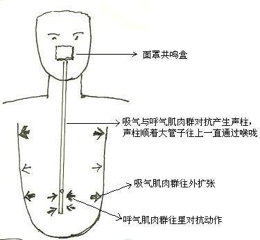 声乐练声技巧：5大方法提升嗓音健康与技巧