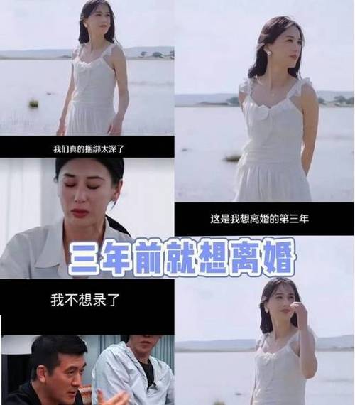 《再见爱人》杨子黄圣依：夫妻关系揭秘，婚姻本质反思